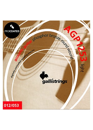 Gallistrings AGP1253 ProCoated Phosphor Bronze Light 갈리스트링스 프로코티드 파스퍼 브론즈 어쿠스틱 기타줄 라이트 (012-053 국내정식수입품)