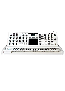 Moog Minimoog Voyager All White Limited Edition 무그 미니무그 보이저 올 화이트 한정판 44건반 신시사이저 (국내정식수입품)