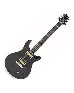 PRS SE Custom 22 Gray Black 피알에스에스이 커스텀 그레이 블랙 (스탑테일 국내정식수입품)