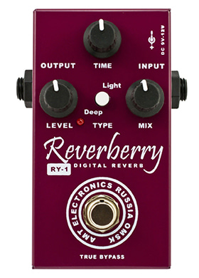 AMT Electronics RY-1 Reverberry Digital Reverb 에이엠티일렉트로닉스 알와이원 리버브베리 디지털 리버브 (국내정식수입품)