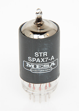 Mesa Boogie SPAX7-A Premium Preamp Vacuum Tube 메사부기 프리미엄 프리앰프 진공관 (12AX7/ECC83 국내정식수입품)