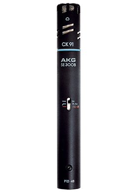 AKG C391 B 에이케이지 콘덴서 마이크 (국내정식수입품)