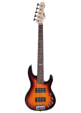 ESP E-II AP-5 Tabacco Sunburst 이에스피 이투 에이피 5현 베이스 타바코 선버스트 (국내정식수입품)