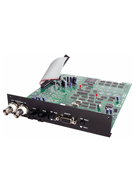 [일시품절] Focusrite ISA Stereo ADC 포커스라이트 아이에스에이 스테레오 에이디씨 옵션카드 (국내정식수입품)