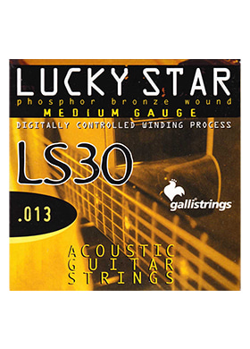 Gallistrings LS30 Phosphore Bronze Medium 갈리스트링스 파스퍼 브론즈 미디엄 어쿠스틱 기타줄 (013-056 국내정식수입품)