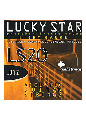 Gallistrings LS20 Phosphore Bronze Light 갈리스트링스 파스퍼 브론즈 라이트 어쿠스틱 기타줄 (012-053 국내정식수입품)