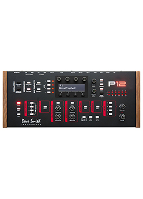 Dave Smith Instruments Prophet 12 Desktop 데이브스미스인스트루먼츠 프로펫 투웰브 데스크탑 모듈 (국내정식수입품)