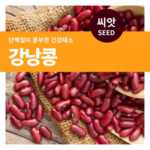 강낭콩 씨앗 20g