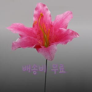 0066. 르네브 (1,000송이 1박스)