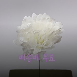 1012. 대국 (1,000송이 1박스)