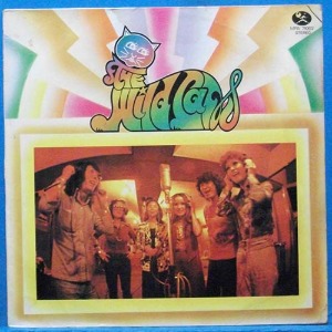 들고양이 the Wild Cats 해외반  (님은 먼 곳에/봄비) 신중현 작곡