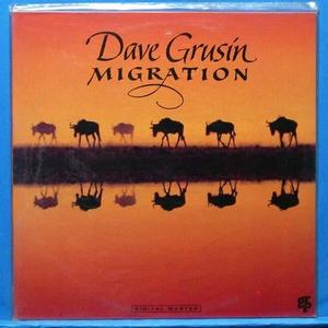 Dave Grusin (migration) 미개봉