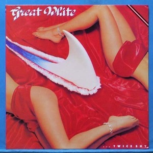 Great White (twice shy) 미국 초반