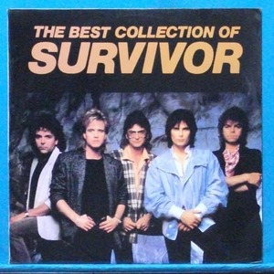 best of the Survivor