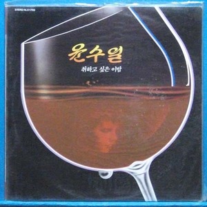 윤수일 (취하고 싶은 이 밤)