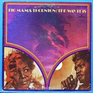 Big Mama Thornton