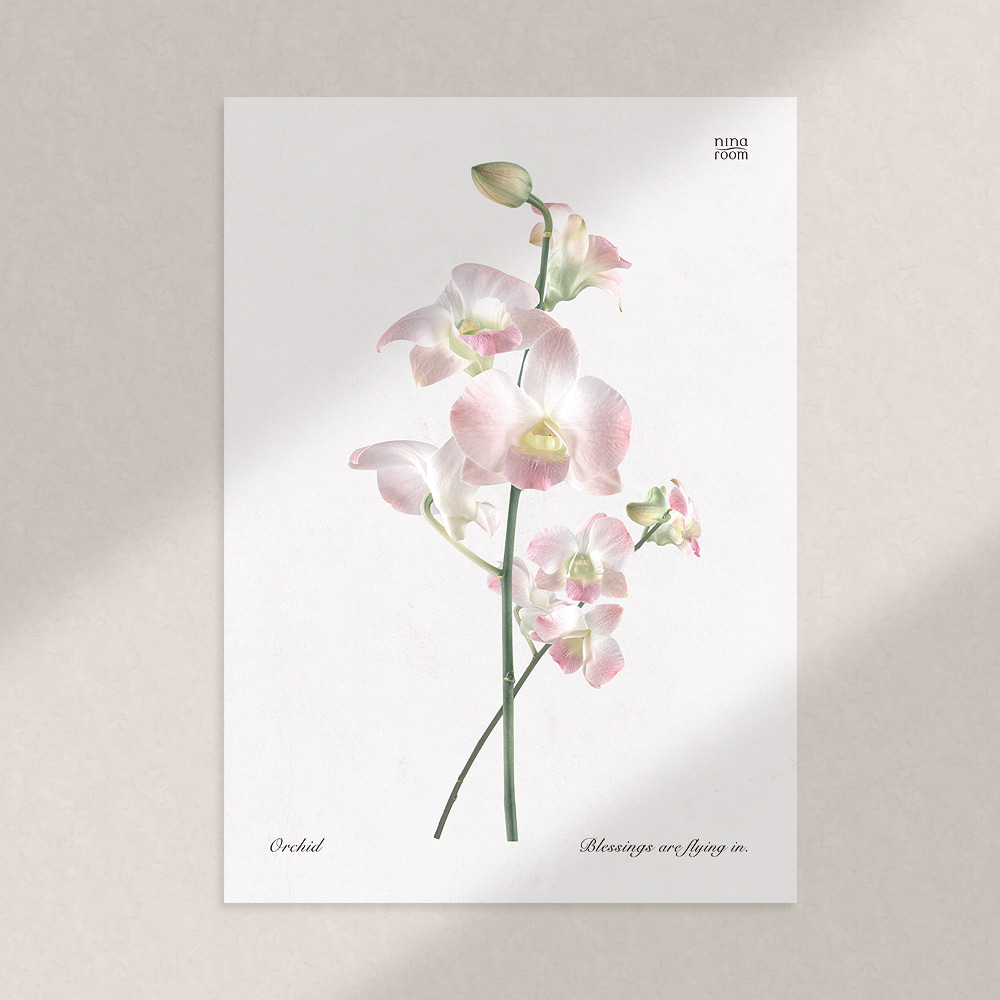 Orchid vintage plant A3 Poster