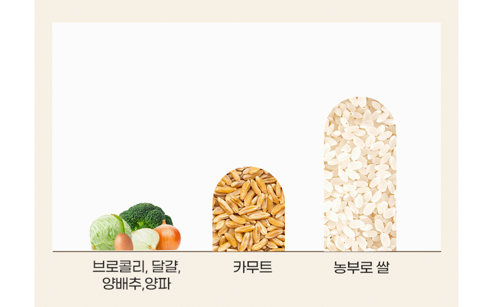 악세사리 상품 이미지-S17L184