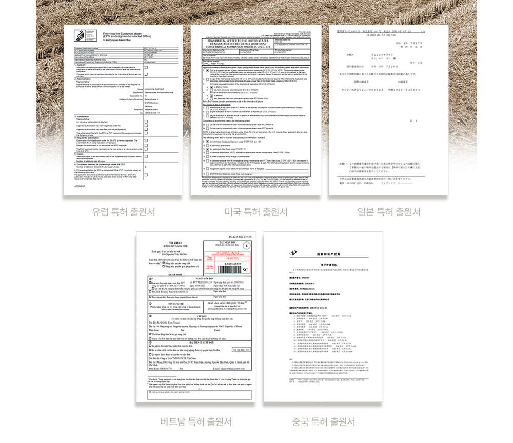 악세사리 상품 이미지-S17L141