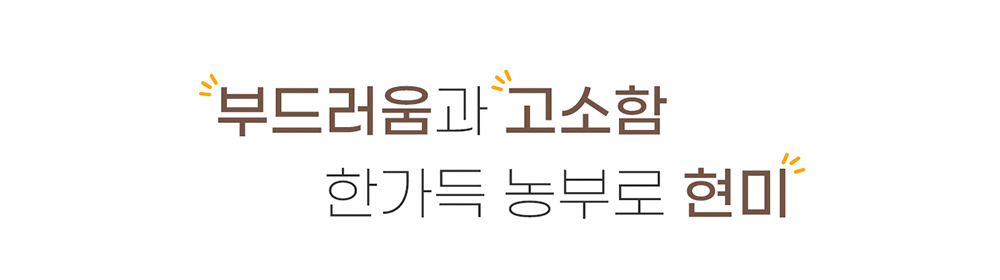 악세사리 상품 이미지-S17L163