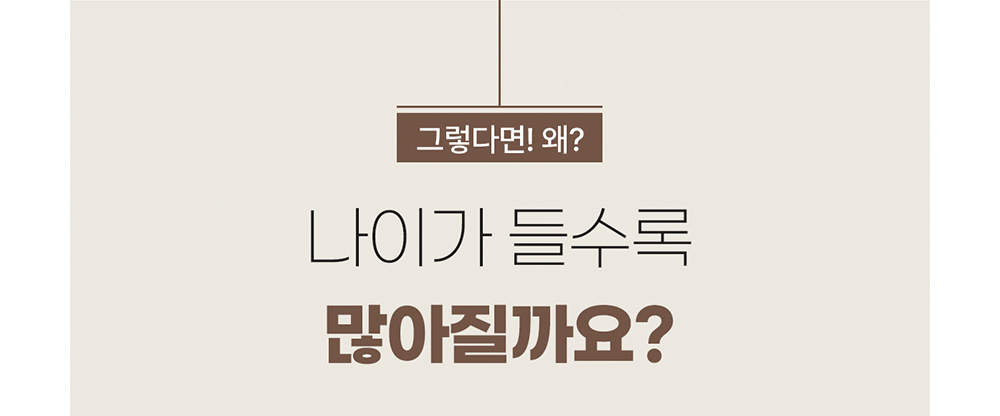 악세사리 상품상세 이미지-S17L103