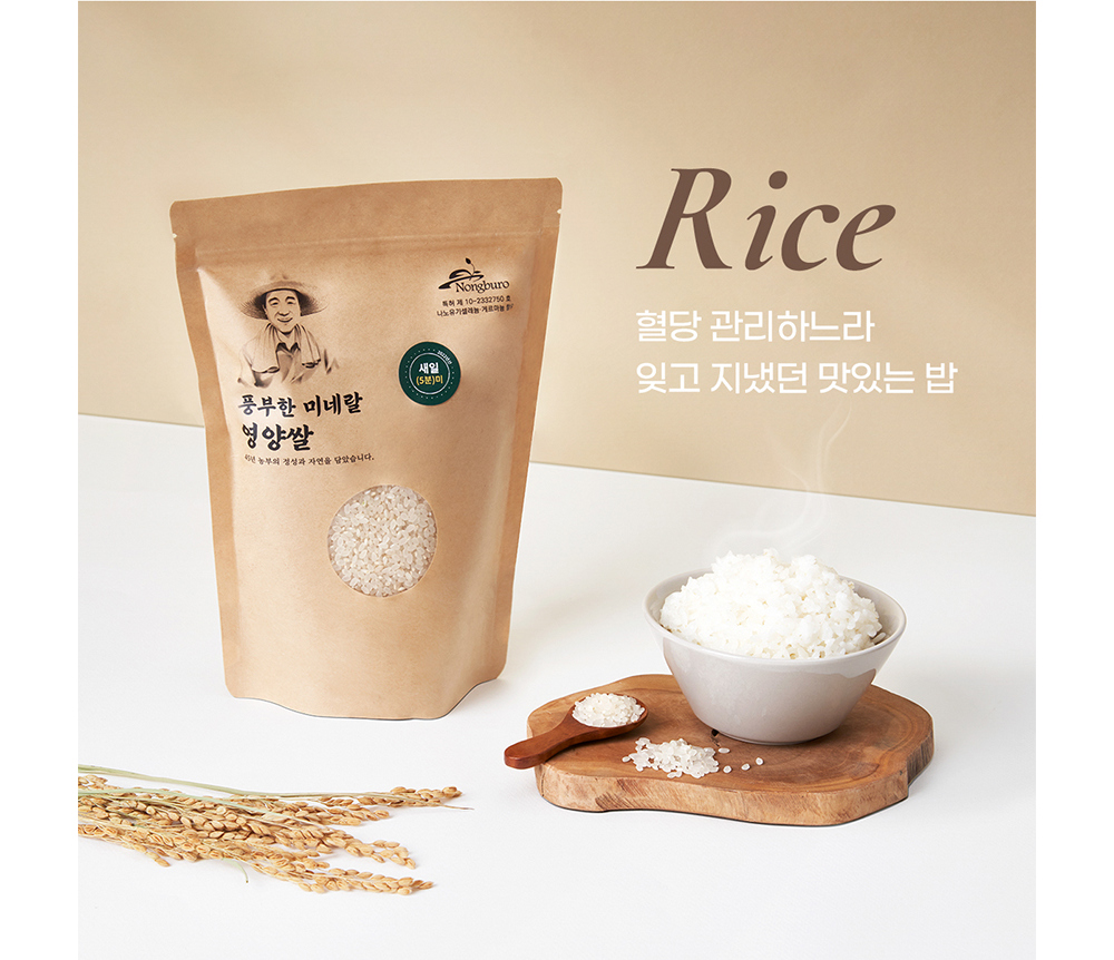 악세사리 크림 색상 이미지-S17L113