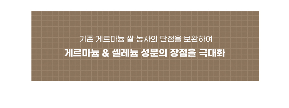 악세사리 상품 이미지-S17L125