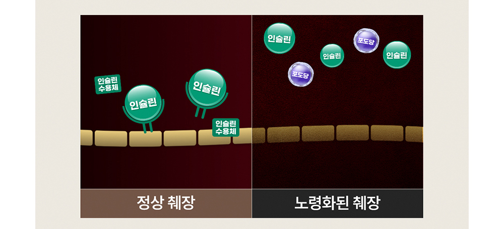 악세사리 상품상세 이미지-S17L104