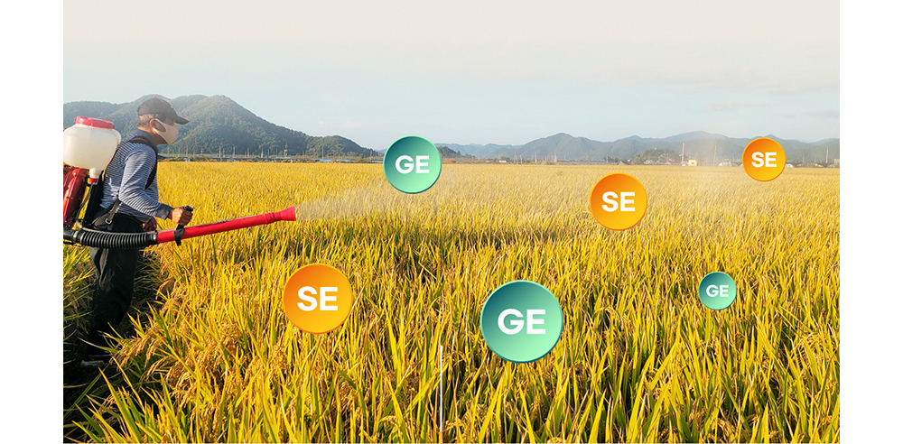 악세사리 모델 착용 이미지-S17L144