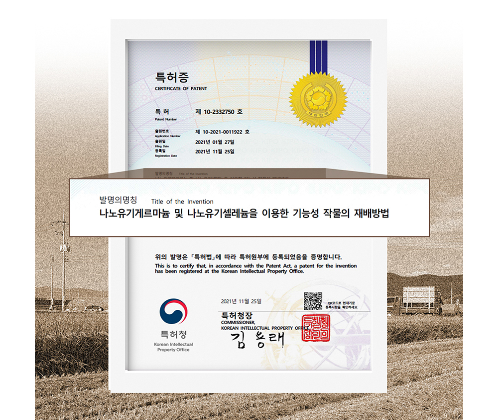 악세사리 상품 이미지-S17L140