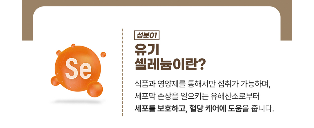 악세사리 상품 이미지-S17L127