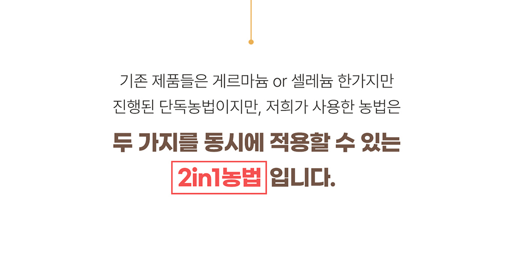 악세사리 상품 이미지-S17L187