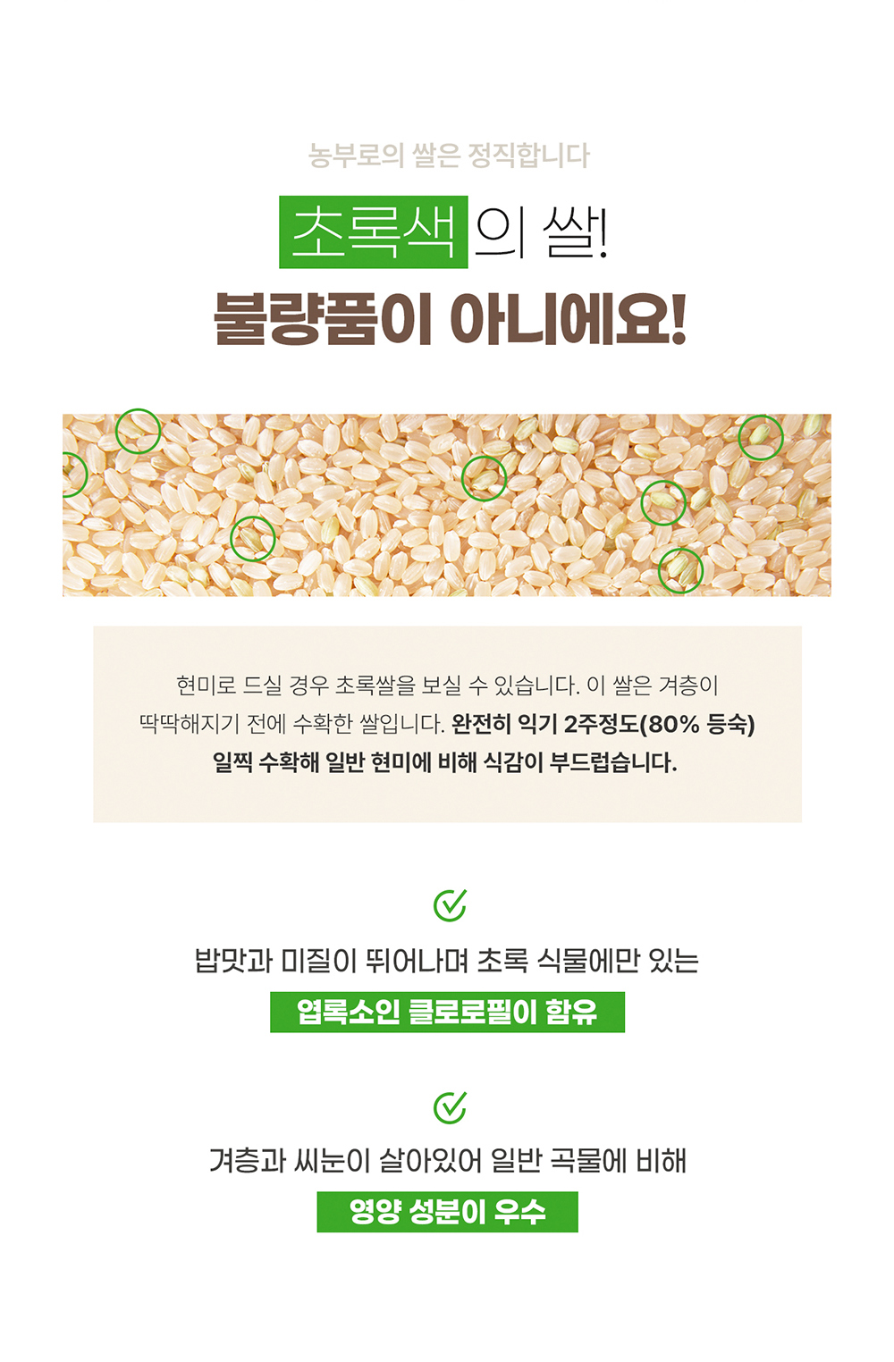 악세사리 상품 이미지-S17L172