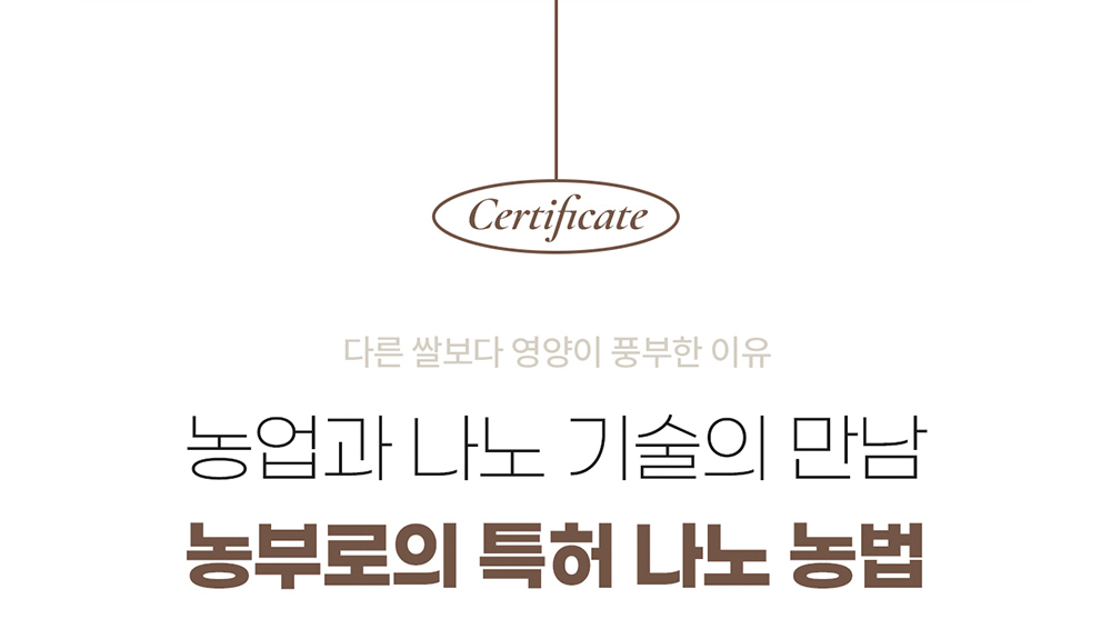 악세사리 상품 이미지-S17L139