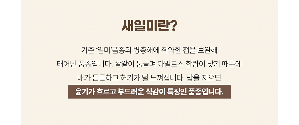 악세사리 상품 이미지-S24L1