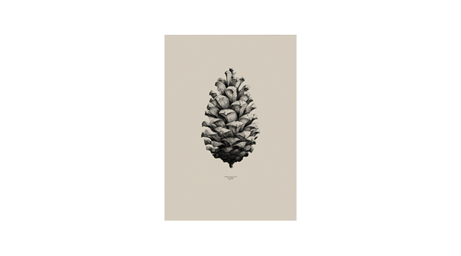 #Nature 1:1 Pine Cone Sand50*70(05002)