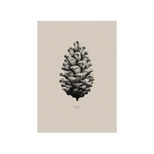 #Nature 1:1 Pine Cone Sand50*70(05002)