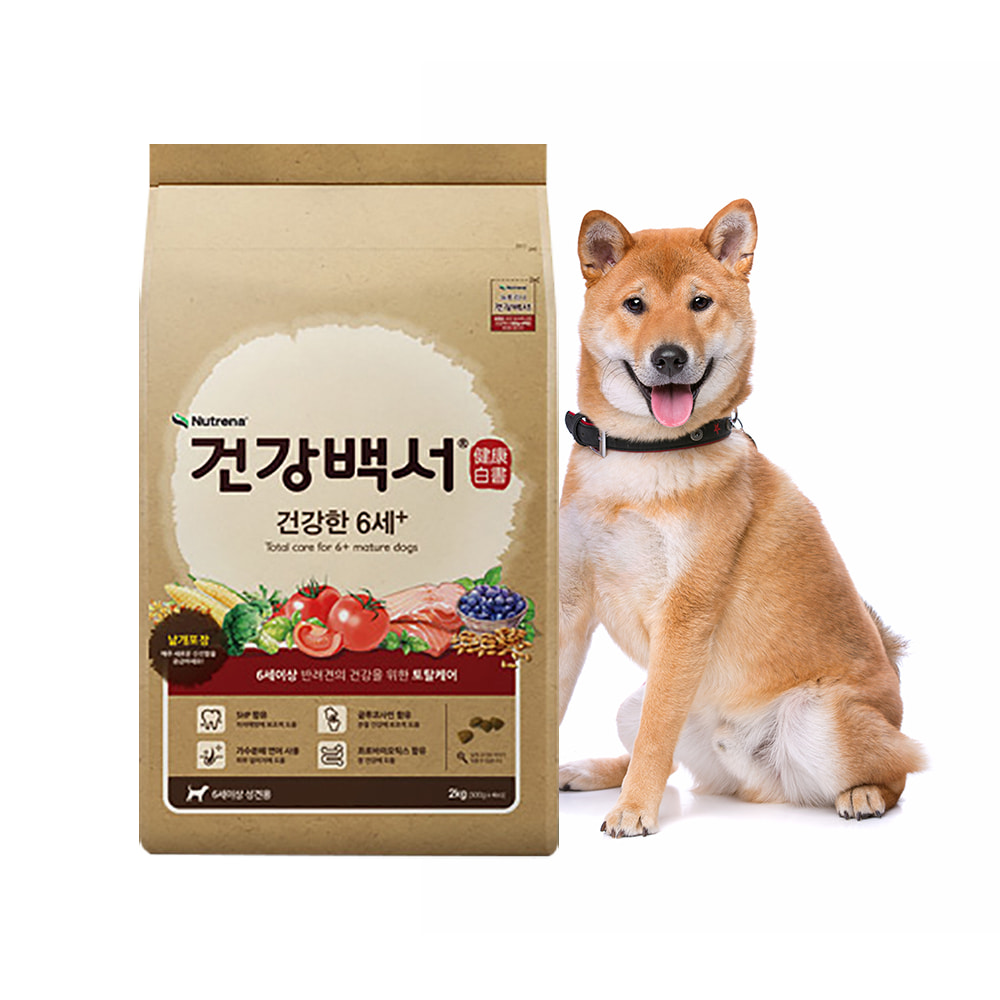 건강백서 건강한 6세 6kg