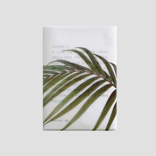 [소언] Plant post card - palm (4차입고)