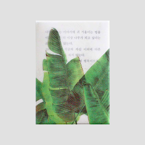 [소언] Plant post card - banana leaf (4차입고)