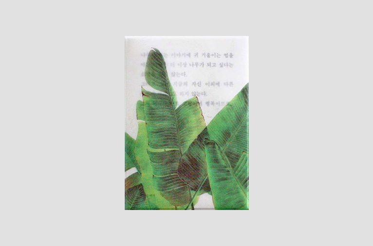 [소언] Plant post card - banana leaf (4차입고)