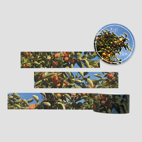 [eun] apricot masking tape (20mm) (재입고)