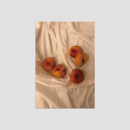 [eun] peaches 엽서 (3차입고)