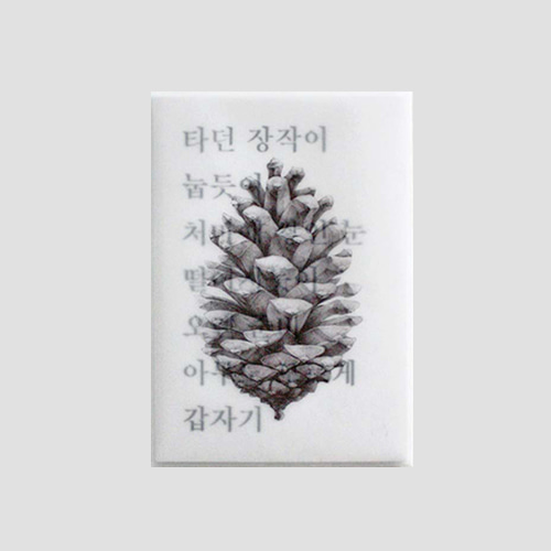 [소언] Plant post card - cone (3차입고)