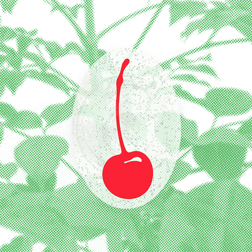 [무톳] cherry on top tok (red)