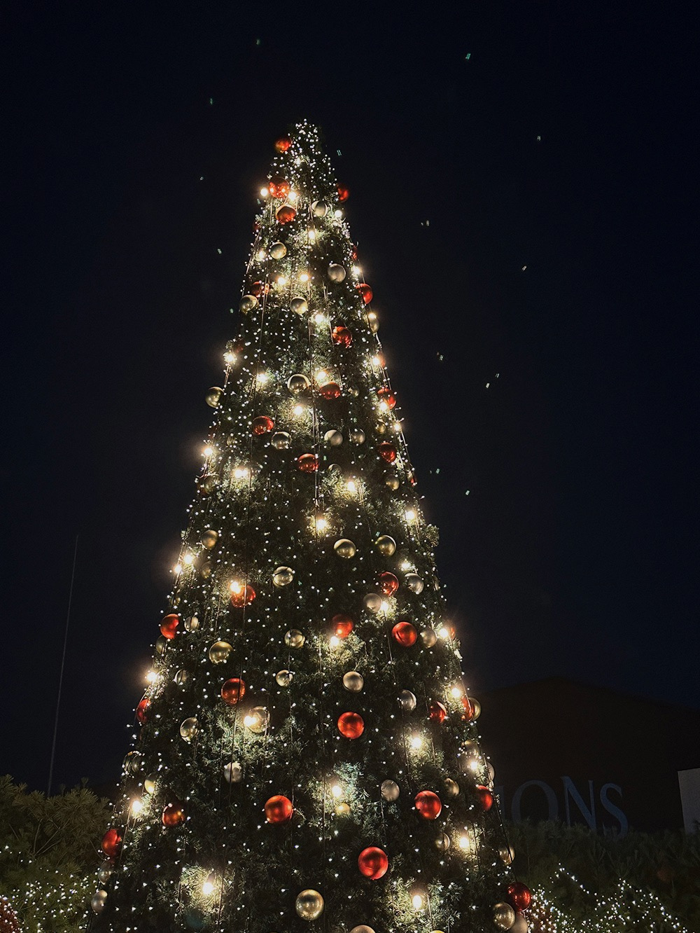 코트 상품상세 이미지-S1L62