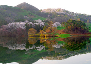 IMGP5026-7. 호수의 봄 반영(8,000만화소 초고해상도 이미지)