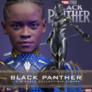 [7월 3일 입고] 핫토이 MMS675 1/6 블랙 팬서: 와칸다 포에버 블랙 팬서 Hot Toys MMS675 Black Panther: Wakanda Forever - 1/6th scale Black Panther