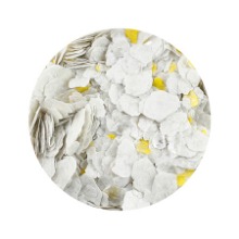 엠프티 쉘풍 홀로그램 B306 White・Yellow