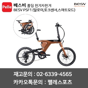 베스비 BESV PSF1 (알로이,토크센서,스마트모드) / 폴딩자전거 / 전기자전거